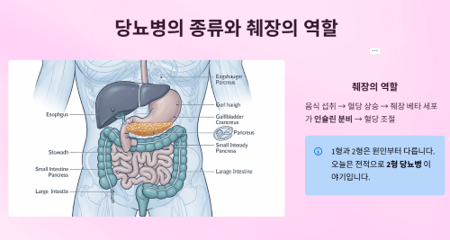 당뇨병의 종류와 췌장의 역할
