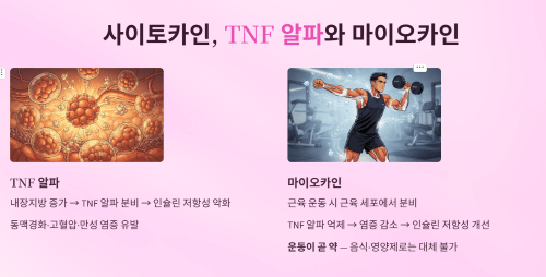 사이토카인, TNF 알파 그리고 마이오카인
