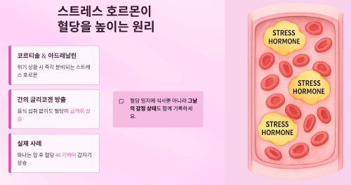 스트레스 호르몬이 혈당을 높이는 원리