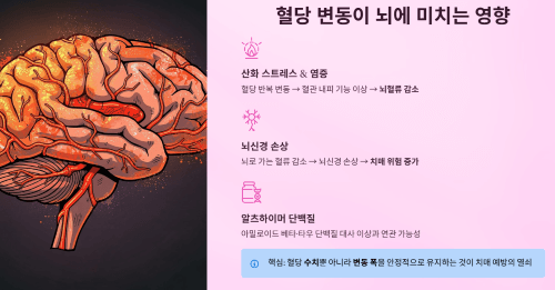 혈당 변동성이 뇌에 미치는 영향