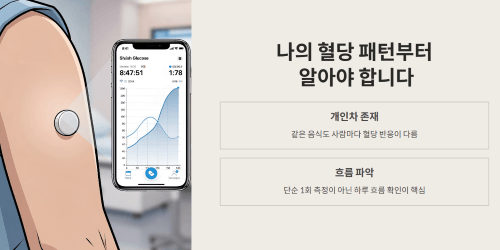 나의 혈당 패턴부터 알아야