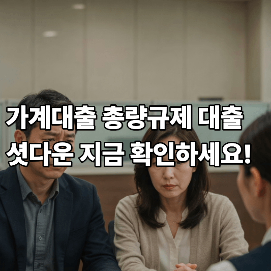 가계대출 총량규제 대출 셧다운 지금 확인하세요 가계대출 총량규제 대출 셧다운 지금 확인하세요