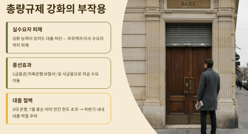 총량규제 강화의 부작용