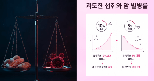과도한 섭취와 암 발병률의 관계