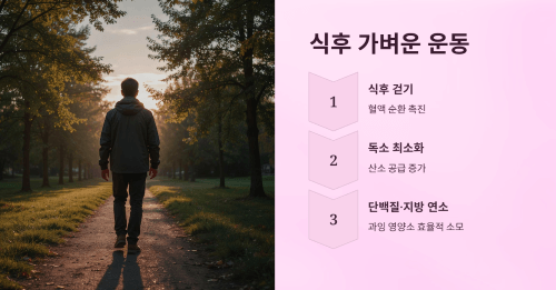 식후 가벼운 운동