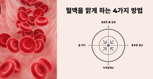 혈액 맑게하는 방법
