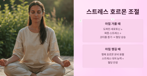 스트레스 호르몬 조절 효과