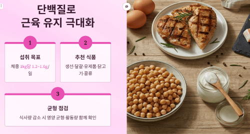 단백질 섭취로 근육 유지 효과 극대화