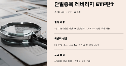 단일종목 레버리지 ETF란 무엇인가
