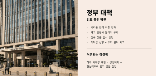 정부의 대책