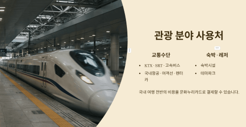 관광 분야 사용처