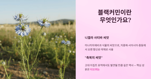 블랙커민이란 무엇인가요