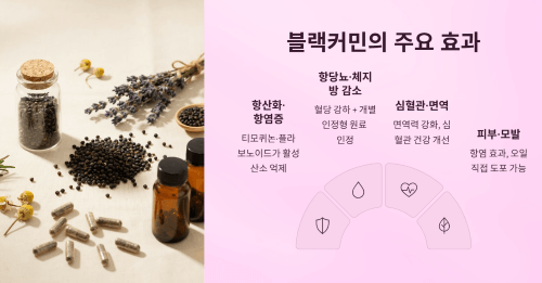 효과