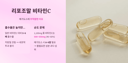 리포조말 비타민C