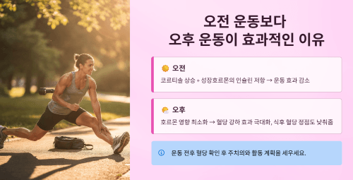 오전 호르몬이 인슐린 저항에 미치는 영향