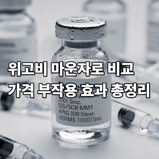 위고비 마운자로 비교 가격 부작용 효과 총정리 위고비 마운자로 비교 가격 부작용 효과 총정리
