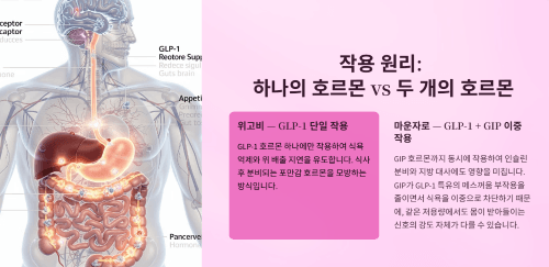 두 제품의 작용 원리 차이