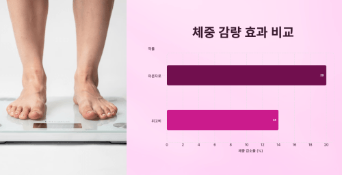 체중 감량 효과 비교