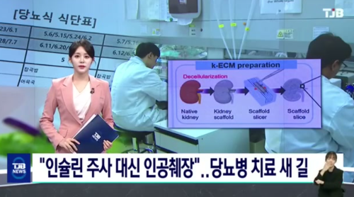 연구팀과 개발 배경