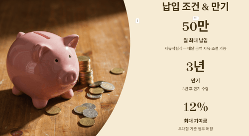 월 납입 한도와 만기