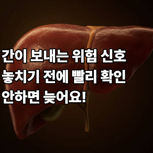 간이 보내는 위험 신호 놓치기 전에 빨리 확인 안하면 늦어요 간이 보내는 위험 신호 놓치기 전에 빨리 확인 안하면 늦어요