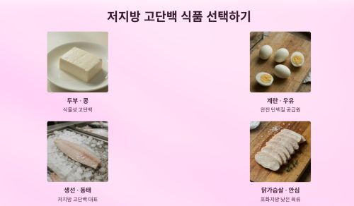 고단백질 음식은