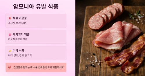 암모니아를 발생시키는 음식