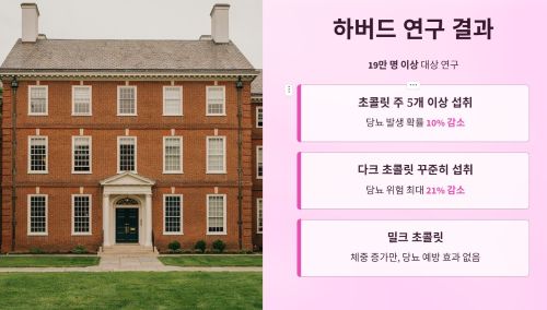 다크 초콜릿의 비밀