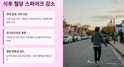 식후 혈당 스파이크 감소