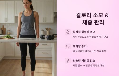 칼로리 소모 및 체중 관리
