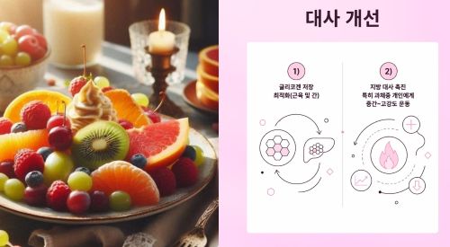 대사 개선
