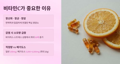 비타민C가 우리 몸에 중요한 이유