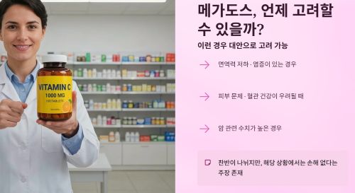 비타민C 메가도스