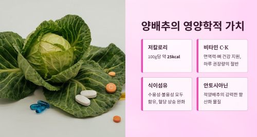 양배추의 영양학적 가치