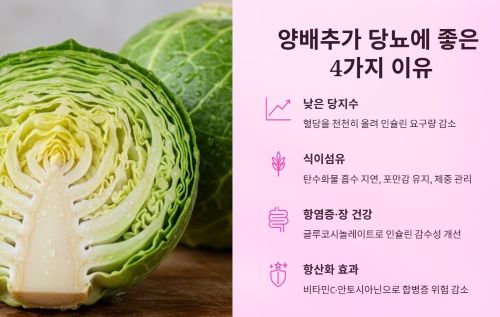 양배추가 당뇨에 도움이 되는 이유