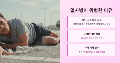 열사병이 위험한 이유