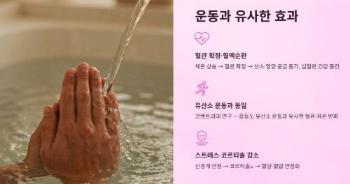 혈류 개선과 건강한 혈관