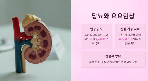 당뇨와 요요현상