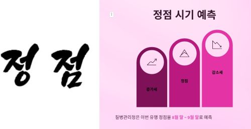 정점 시기는