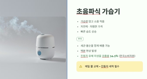 초음파식