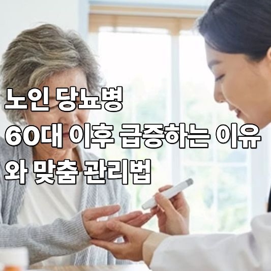 노인 당뇨병