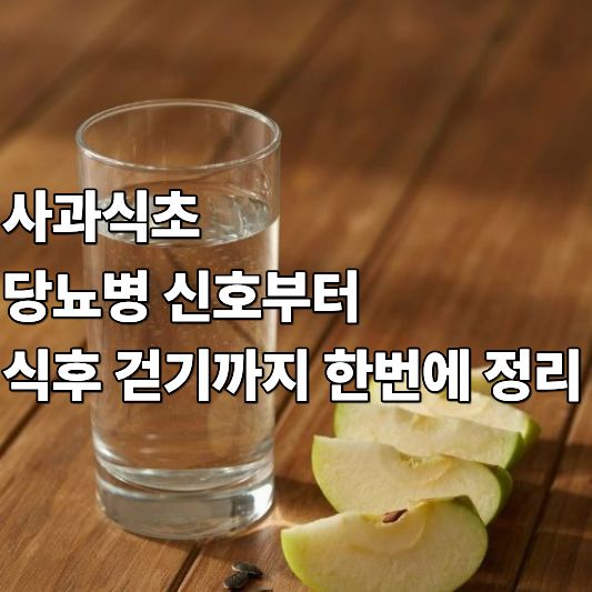 사과식초 사과식초