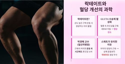 락테이트