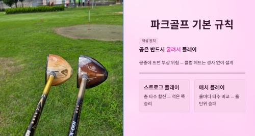 파크골프 기본 규칙