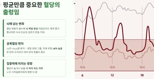 평균 수치만큼 중요한 혈당의 출렁임