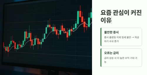 요즘 관심이 커진 이유